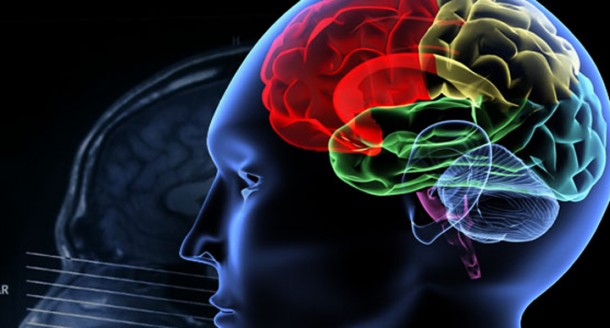 1307458693-401-610x328